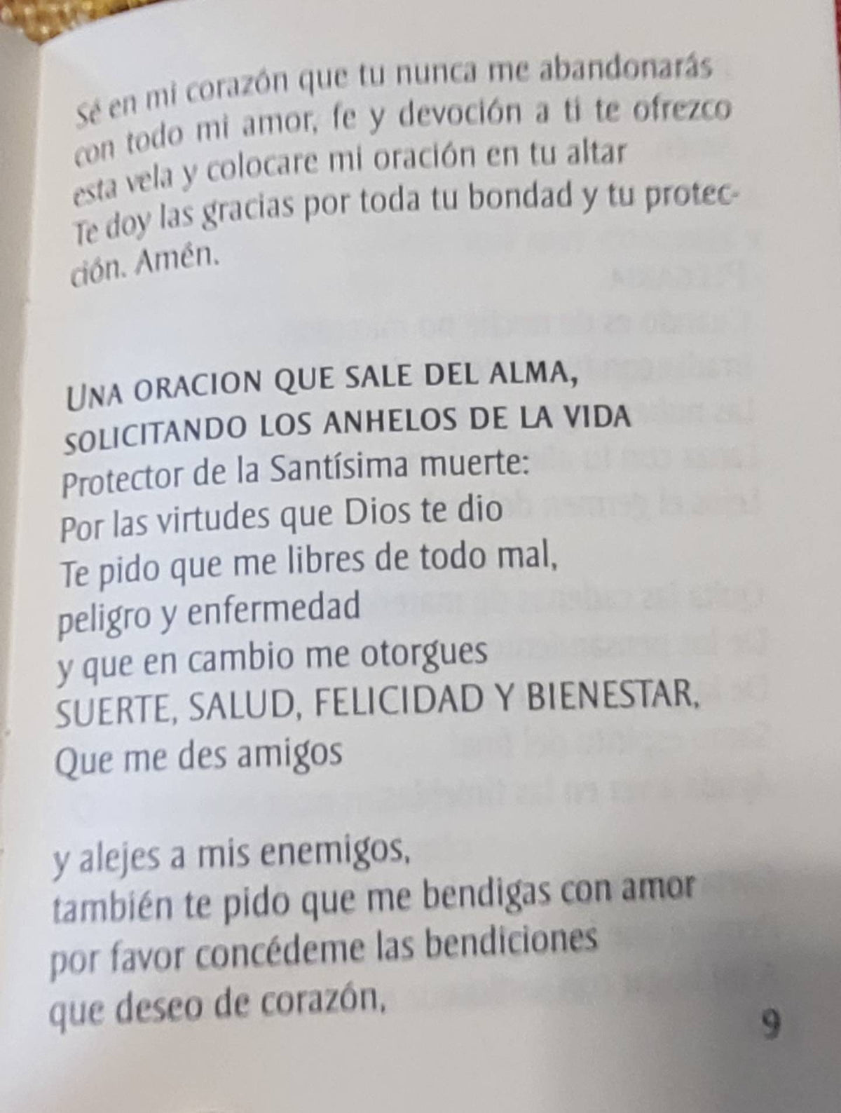 Novena de la Santa Muerte Libro Book